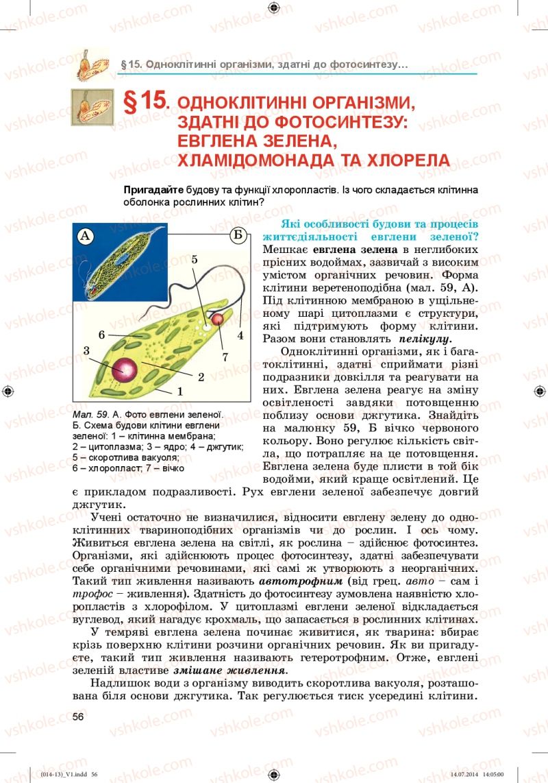 Страница 56 | Підручник Біологія 6 клас Л.І. Остапченко, П.Г. Балан, Н.Ю. Матяш 2014