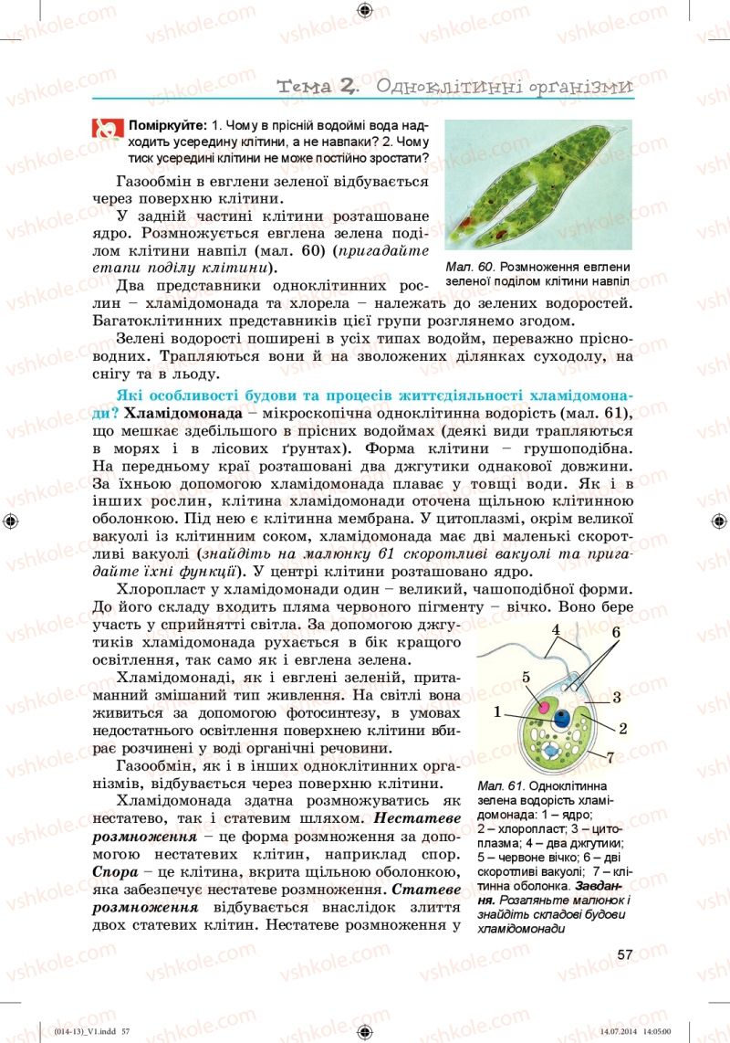 Страница 57 | Підручник Біологія 6 клас Л.І. Остапченко, П.Г. Балан, Н.Ю. Матяш 2014