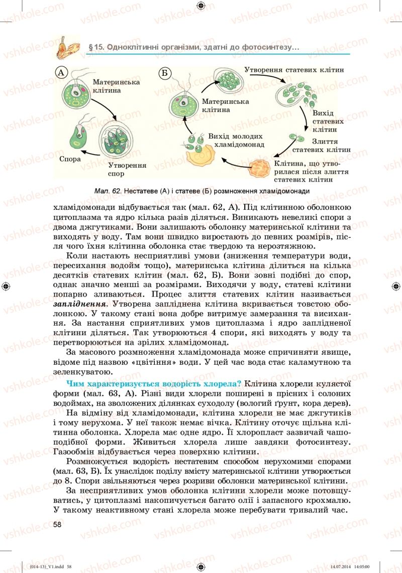 Страница 58 | Підручник Біологія 6 клас Л.І. Остапченко, П.Г. Балан, Н.Ю. Матяш 2014