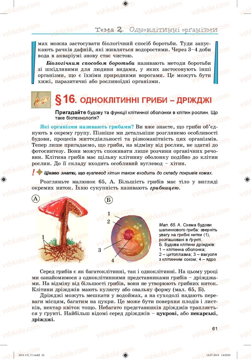 Страница 61 | Підручник Біологія 6 клас Л.І. Остапченко, П.Г. Балан, Н.Ю. Матяш 2014