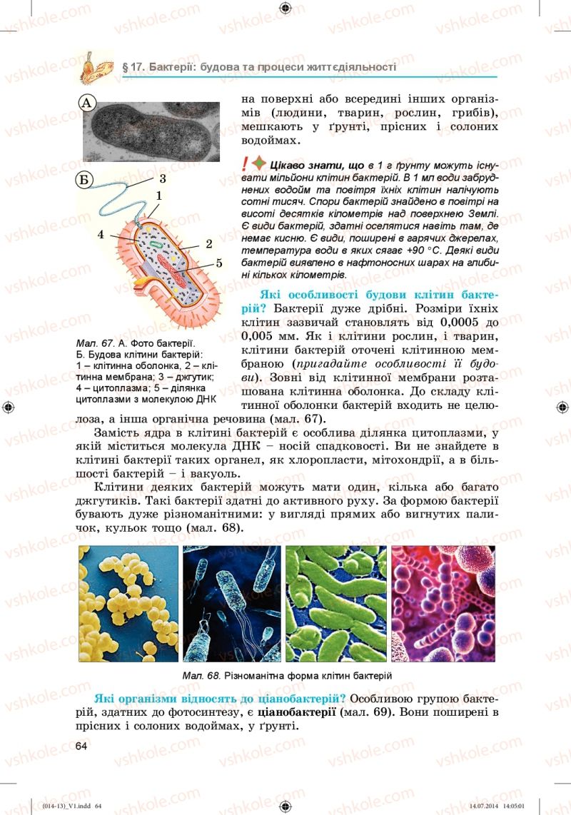Страница 64 | Підручник Біологія 6 клас Л.І. Остапченко, П.Г. Балан, Н.Ю. Матяш 2014