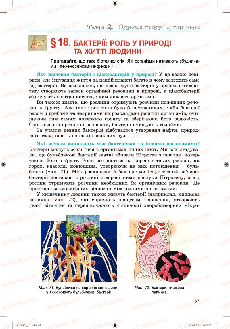Страница 67 | Підручник Біологія 6 клас Л.І. Остапченко, П.Г. Балан, Н.Ю. Матяш 2014