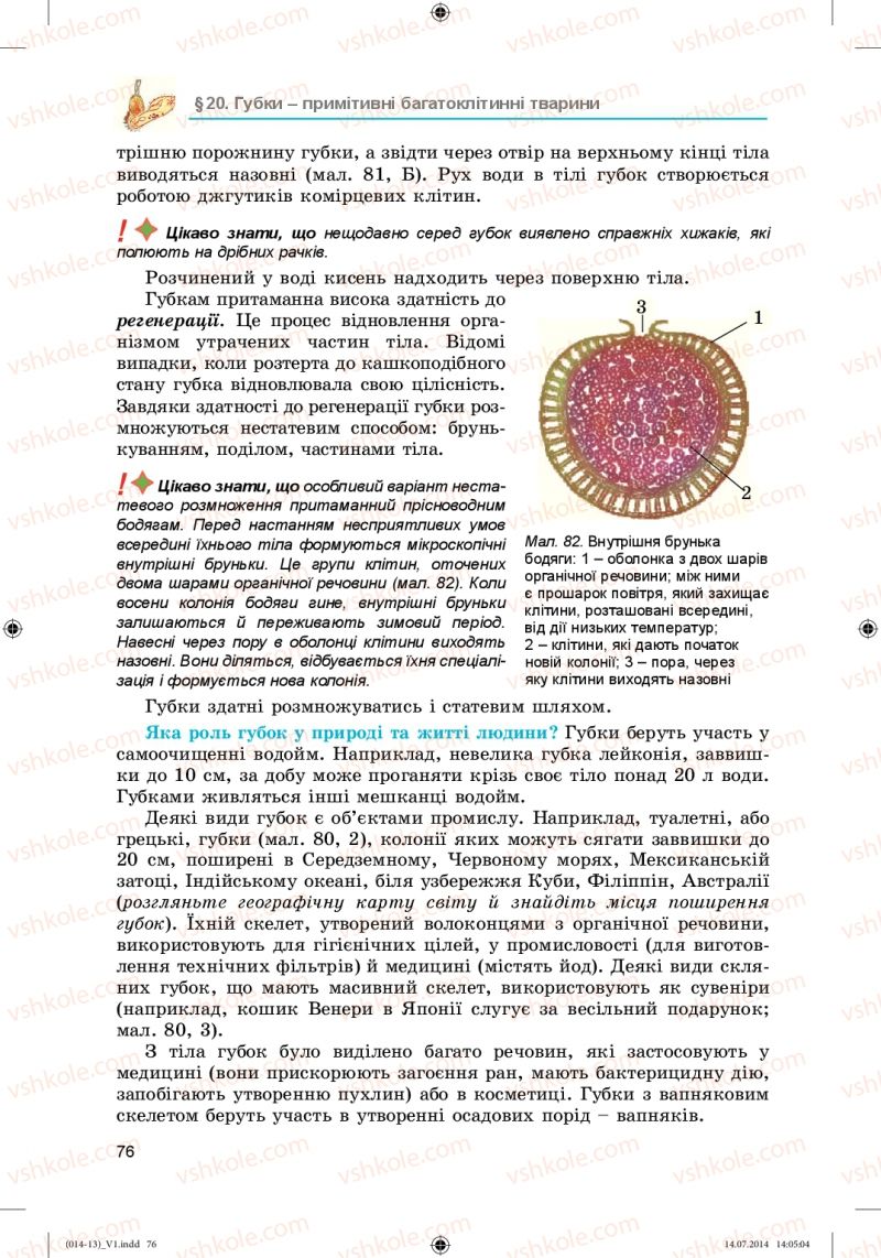 Страница 76 | Підручник Біологія 6 клас Л.І. Остапченко, П.Г. Балан, Н.Ю. Матяш 2014