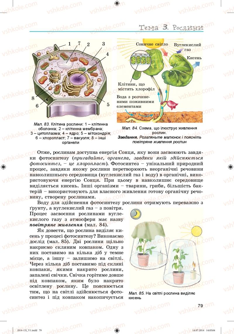 Страница 79 | Підручник Біологія 6 клас Л.І. Остапченко, П.Г. Балан, Н.Ю. Матяш 2014