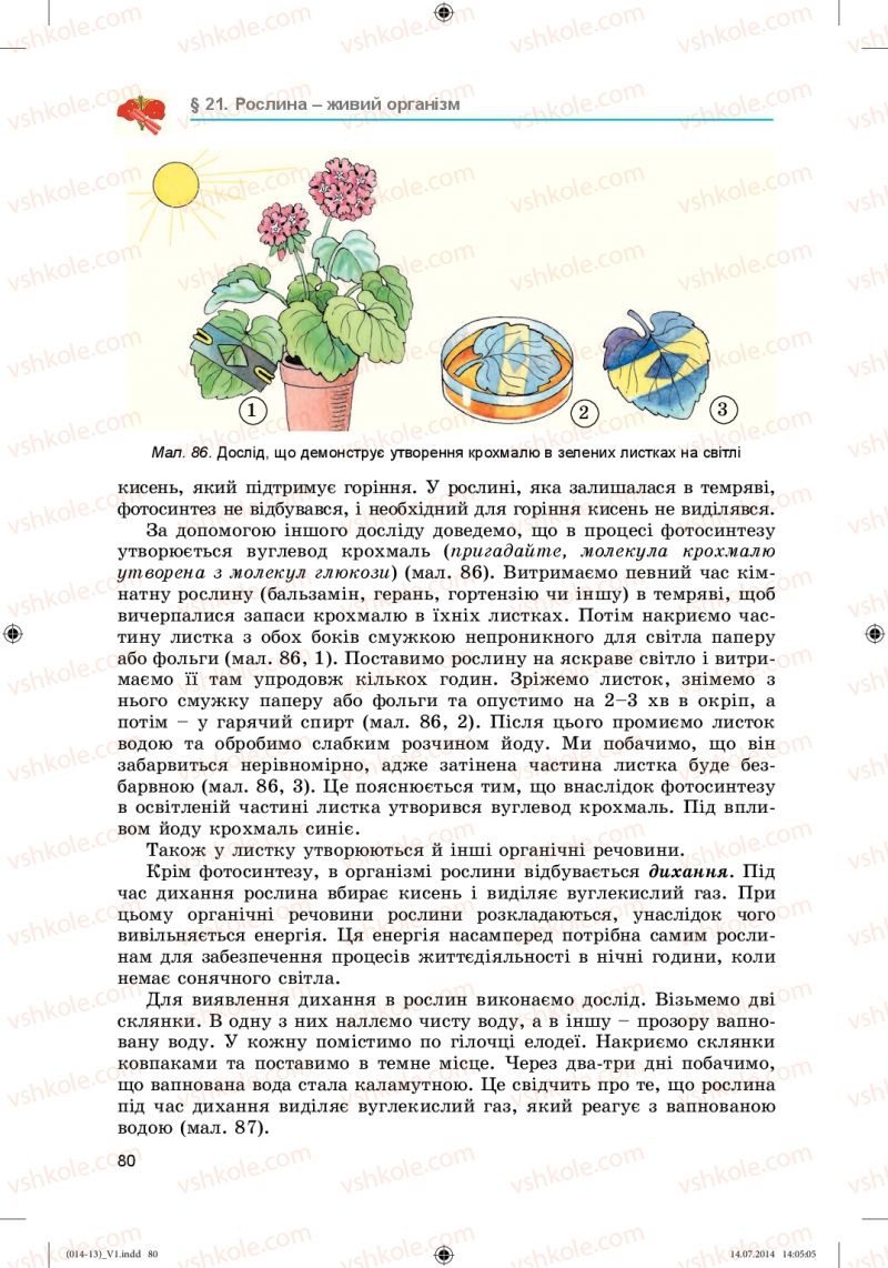 Страница 80 | Підручник Біологія 6 клас Л.І. Остапченко, П.Г. Балан, Н.Ю. Матяш 2014