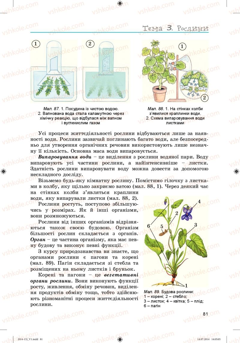 Страница 81 | Підручник Біологія 6 клас Л.І. Остапченко, П.Г. Балан, Н.Ю. Матяш 2014