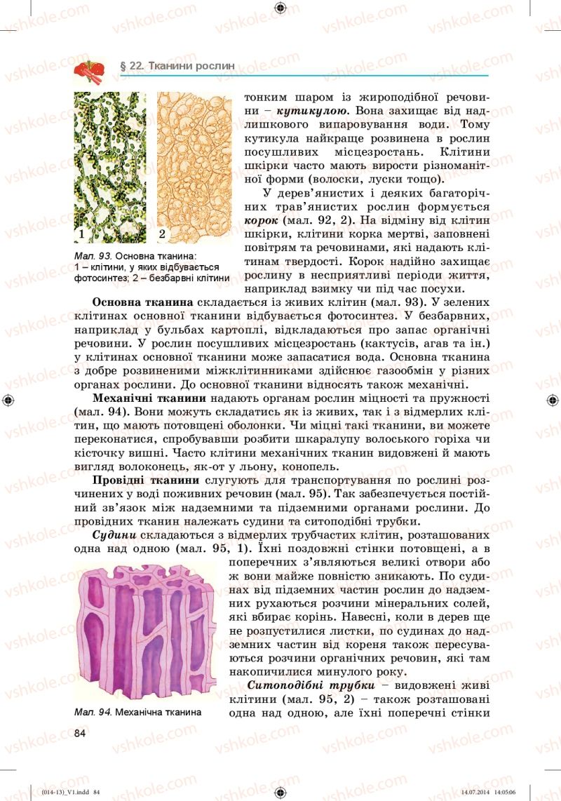 Страница 84 | Підручник Біологія 6 клас Л.І. Остапченко, П.Г. Балан, Н.Ю. Матяш 2014