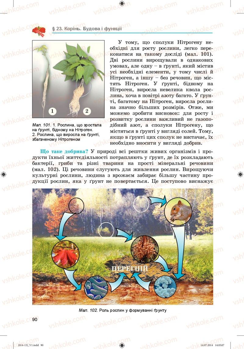 Страница 90 | Підручник Біологія 6 клас Л.І. Остапченко, П.Г. Балан, Н.Ю. Матяш 2014