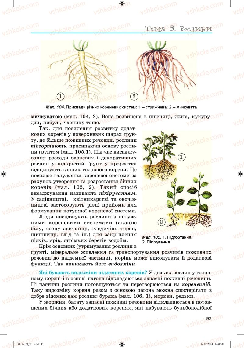 Страница 93 | Підручник Біологія 6 клас Л.І. Остапченко, П.Г. Балан, Н.Ю. Матяш 2014