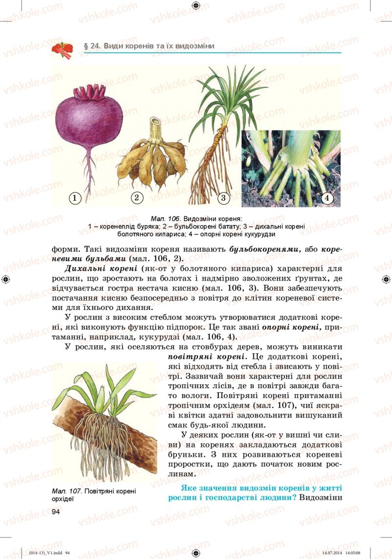 Страница 94 | Підручник Біологія 6 клас Л.І. Остапченко, П.Г. Балан, Н.Ю. Матяш 2014