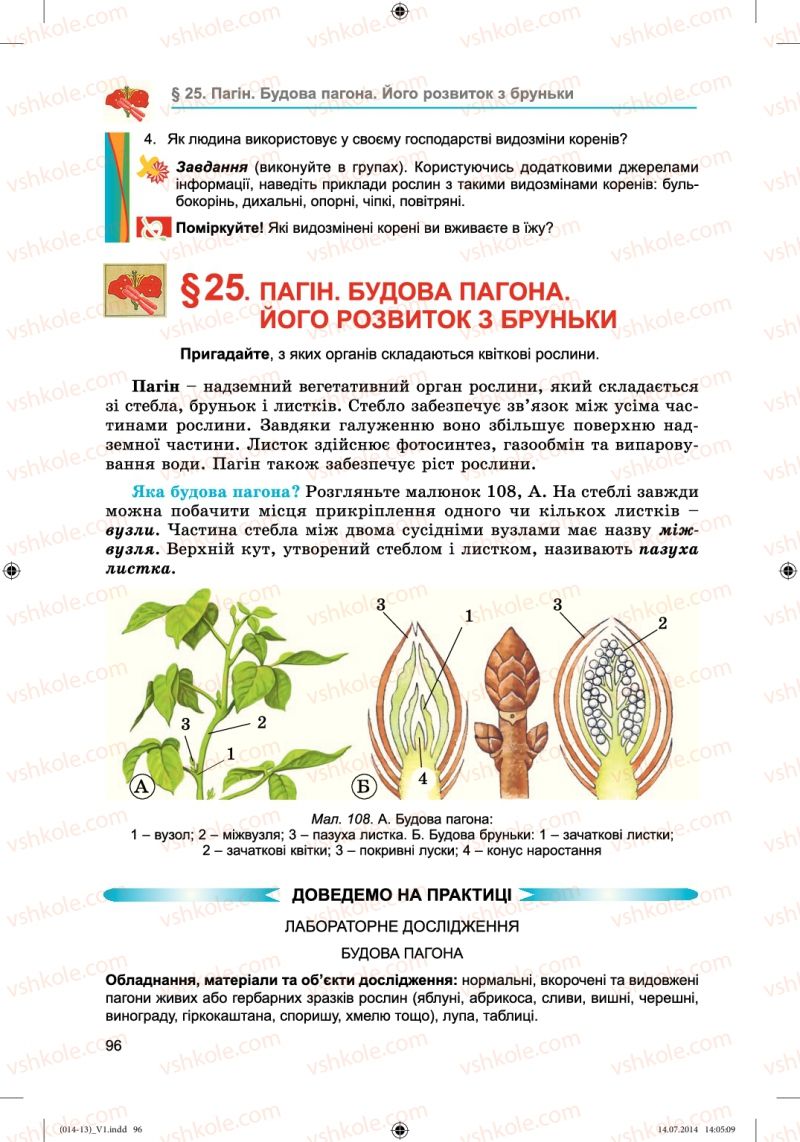 Страница 96 | Підручник Біологія 6 клас Л.І. Остапченко, П.Г. Балан, Н.Ю. Матяш 2014