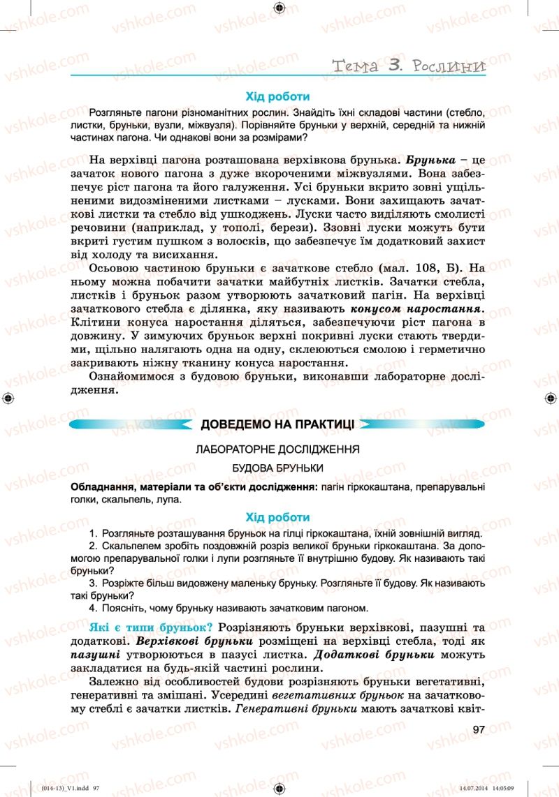 Страница 97 | Підручник Біологія 6 клас Л.І. Остапченко, П.Г. Балан, Н.Ю. Матяш 2014