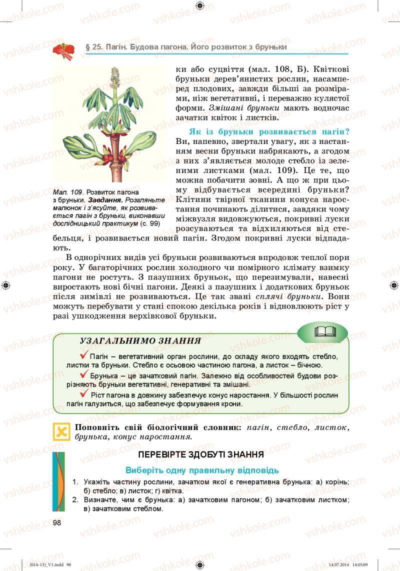 Страница 98 | Підручник Біологія 6 клас Л.І. Остапченко, П.Г. Балан, Н.Ю. Матяш 2014