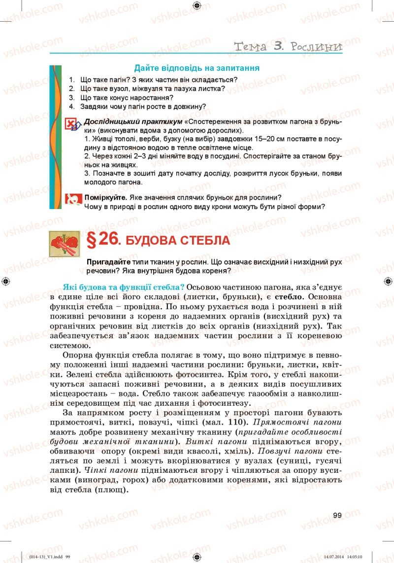 Страница 99 | Підручник Біологія 6 клас Л.І. Остапченко, П.Г. Балан, Н.Ю. Матяш 2014