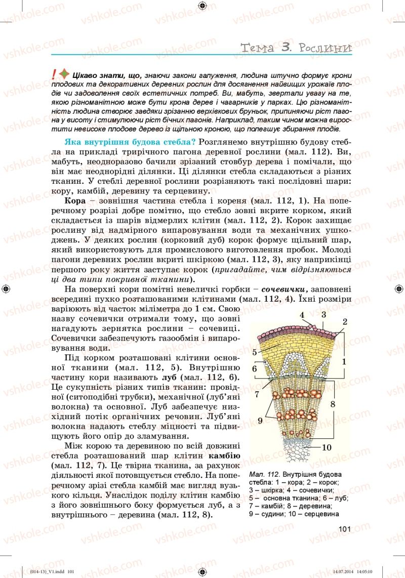 Страница 101 | Підручник Біологія 6 клас Л.І. Остапченко, П.Г. Балан, Н.Ю. Матяш 2014