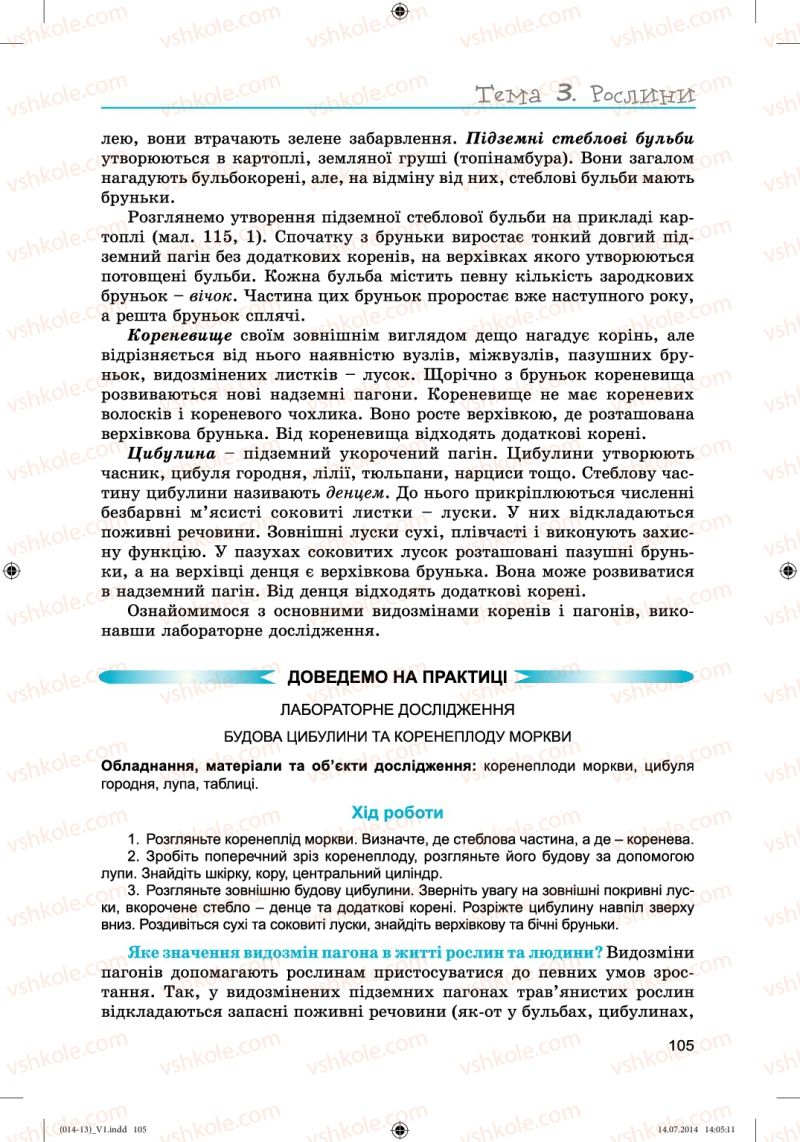Страница 105 | Підручник Біологія 6 клас Л.І. Остапченко, П.Г. Балан, Н.Ю. Матяш 2014