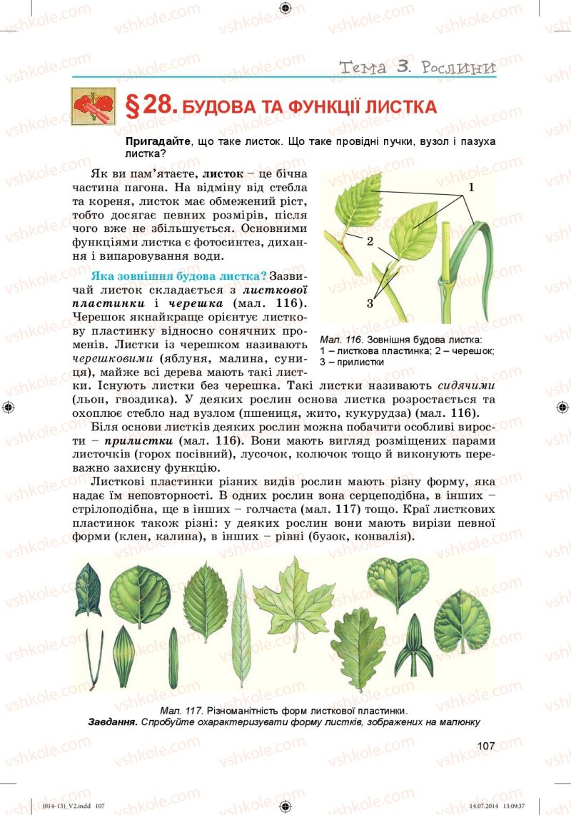 Страница 107 | Підручник Біологія 6 клас Л.І. Остапченко, П.Г. Балан, Н.Ю. Матяш 2014