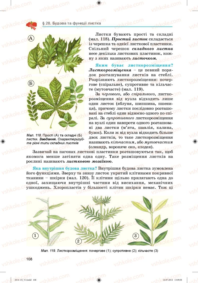 Страница 108 | Підручник Біологія 6 клас Л.І. Остапченко, П.Г. Балан, Н.Ю. Матяш 2014