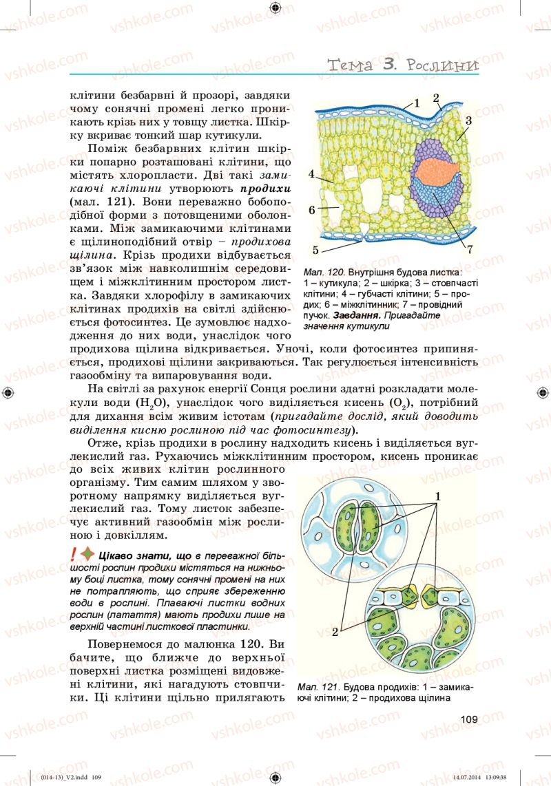 Страница 109 | Підручник Біологія 6 клас Л.І. Остапченко, П.Г. Балан, Н.Ю. Матяш 2014