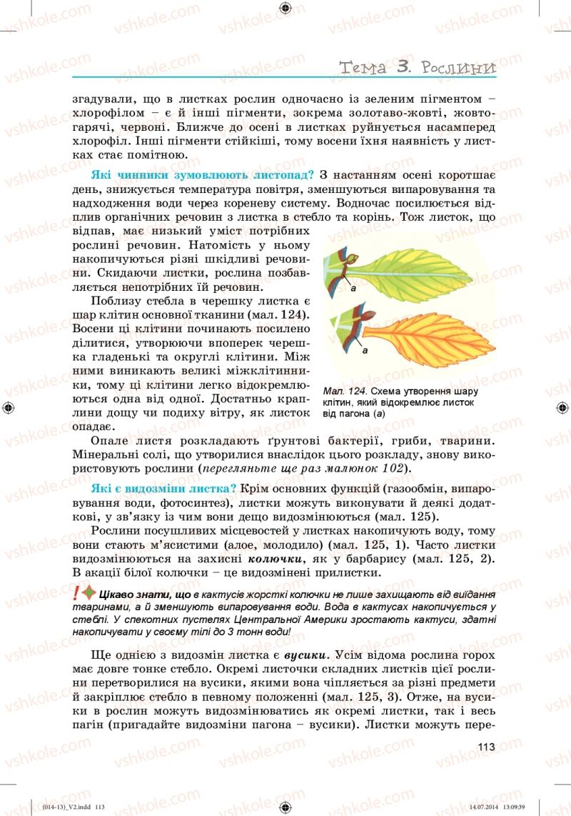 Страница 113 | Підручник Біологія 6 клас Л.І. Остапченко, П.Г. Балан, Н.Ю. Матяш 2014