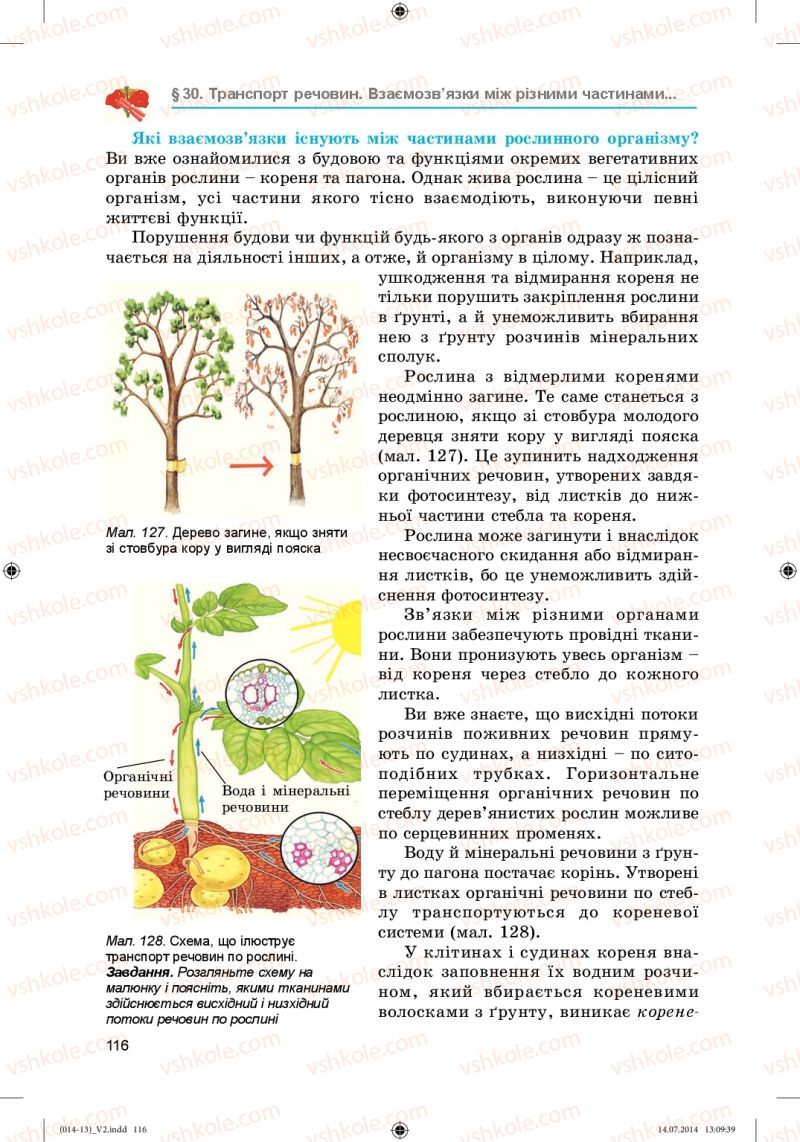 Страница 116 | Підручник Біологія 6 клас Л.І. Остапченко, П.Г. Балан, Н.Ю. Матяш 2014