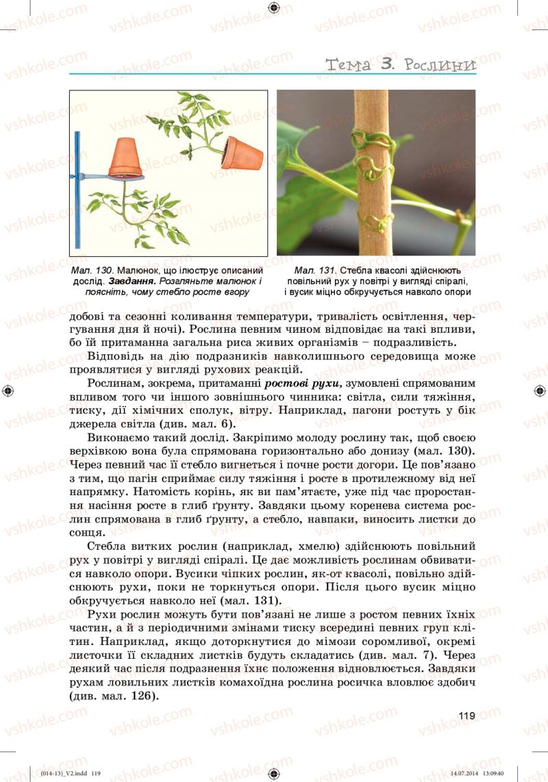 Страница 119 | Підручник Біологія 6 клас Л.І. Остапченко, П.Г. Балан, Н.Ю. Матяш 2014