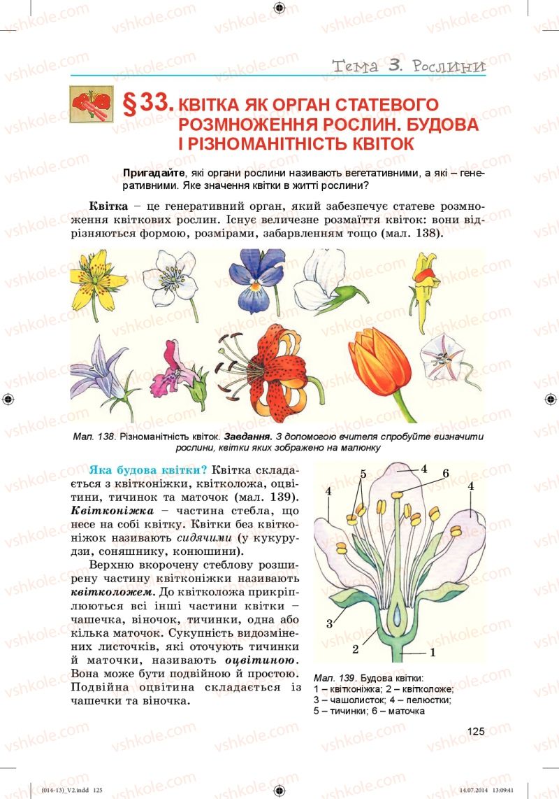 Страница 125 | Підручник Біологія 6 клас Л.І. Остапченко, П.Г. Балан, Н.Ю. Матяш 2014