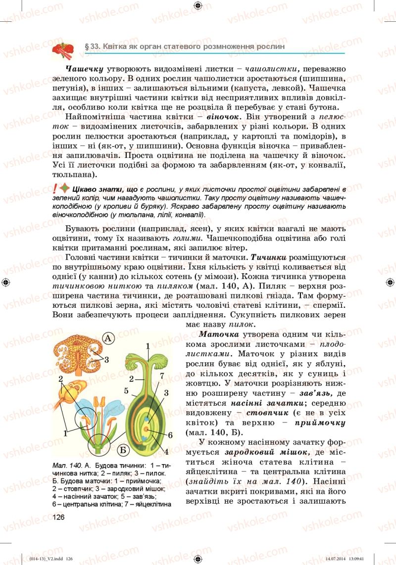 Страница 126 | Підручник Біологія 6 клас Л.І. Остапченко, П.Г. Балан, Н.Ю. Матяш 2014