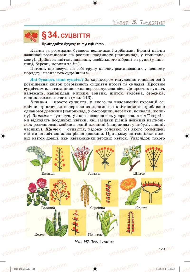 Страница 129 | Підручник Біологія 6 клас Л.І. Остапченко, П.Г. Балан, Н.Ю. Матяш 2014