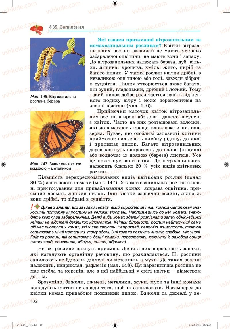 Страница 132 | Підручник Біологія 6 клас Л.І. Остапченко, П.Г. Балан, Н.Ю. Матяш 2014