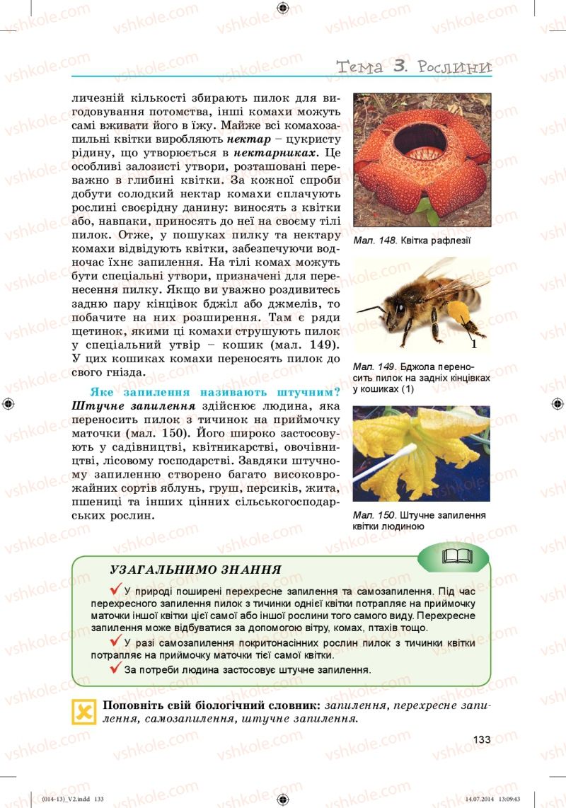 Страница 133 | Підручник Біологія 6 клас Л.І. Остапченко, П.Г. Балан, Н.Ю. Матяш 2014