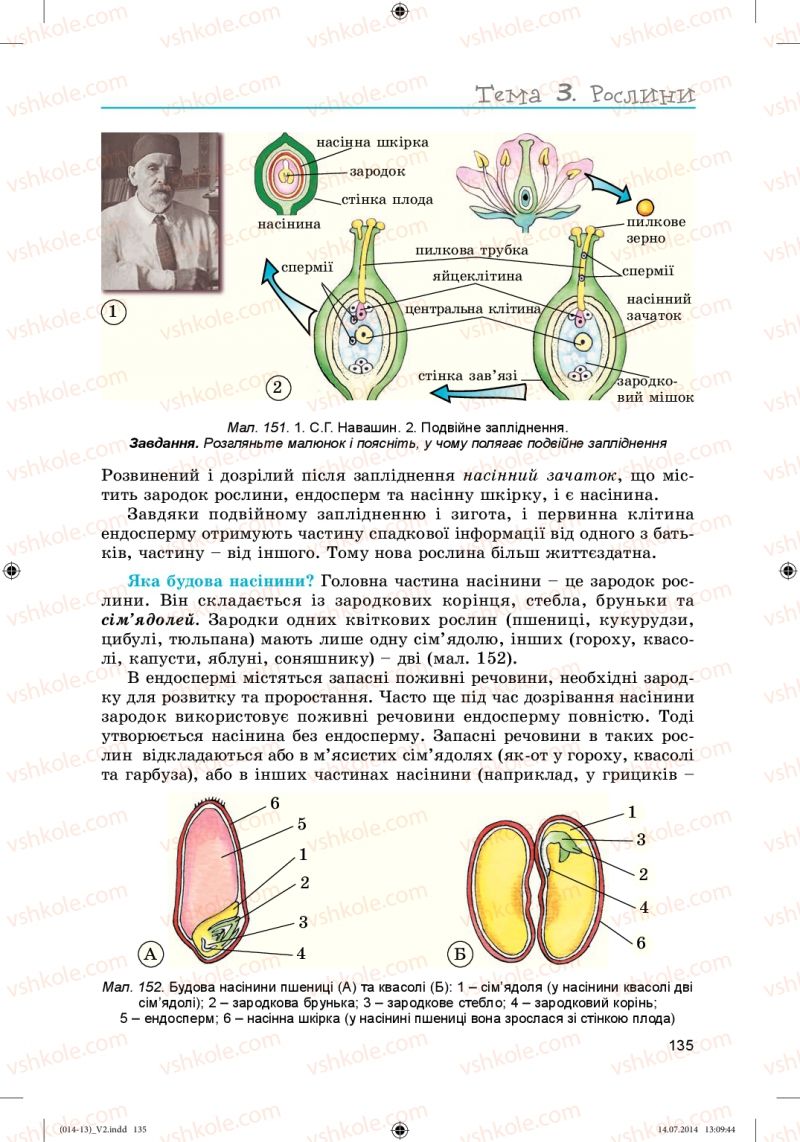 Страница 135 | Підручник Біологія 6 клас Л.І. Остапченко, П.Г. Балан, Н.Ю. Матяш 2014