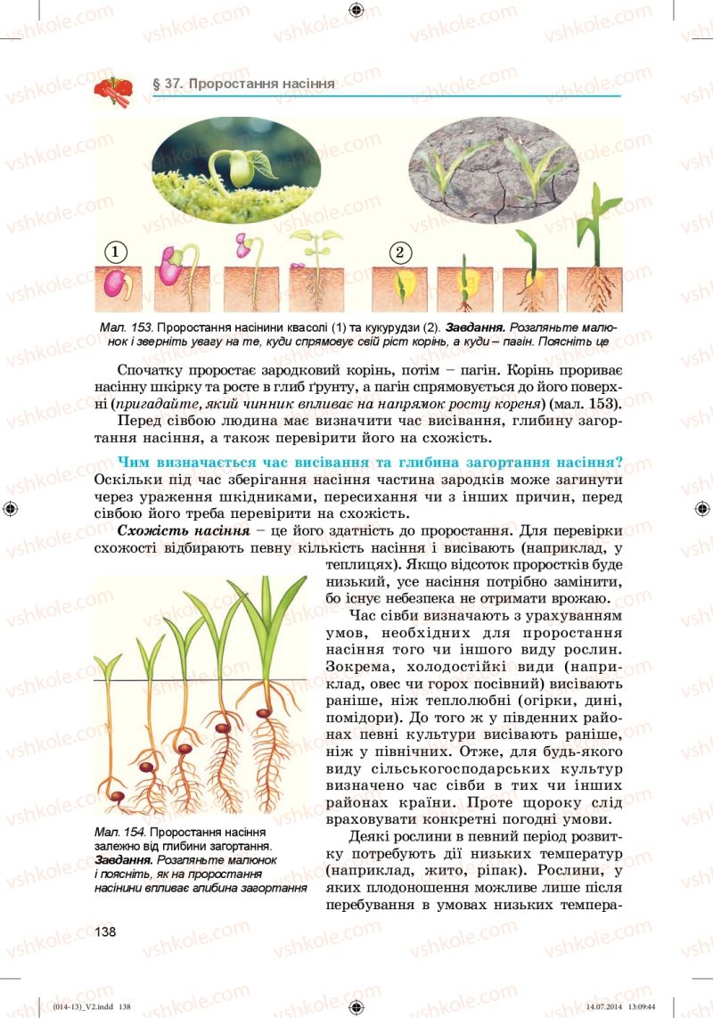 Страница 138 | Підручник Біологія 6 клас Л.І. Остапченко, П.Г. Балан, Н.Ю. Матяш 2014