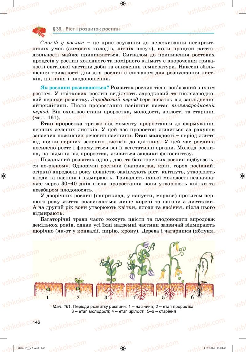 Страница 146 | Підручник Біологія 6 клас Л.І. Остапченко, П.Г. Балан, Н.Ю. Матяш 2014