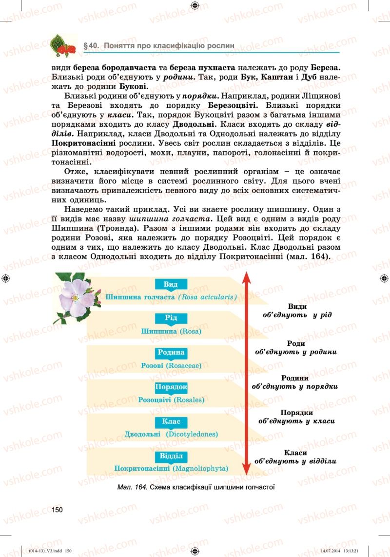Страница 150 | Підручник Біологія 6 клас Л.І. Остапченко, П.Г. Балан, Н.Ю. Матяш 2014