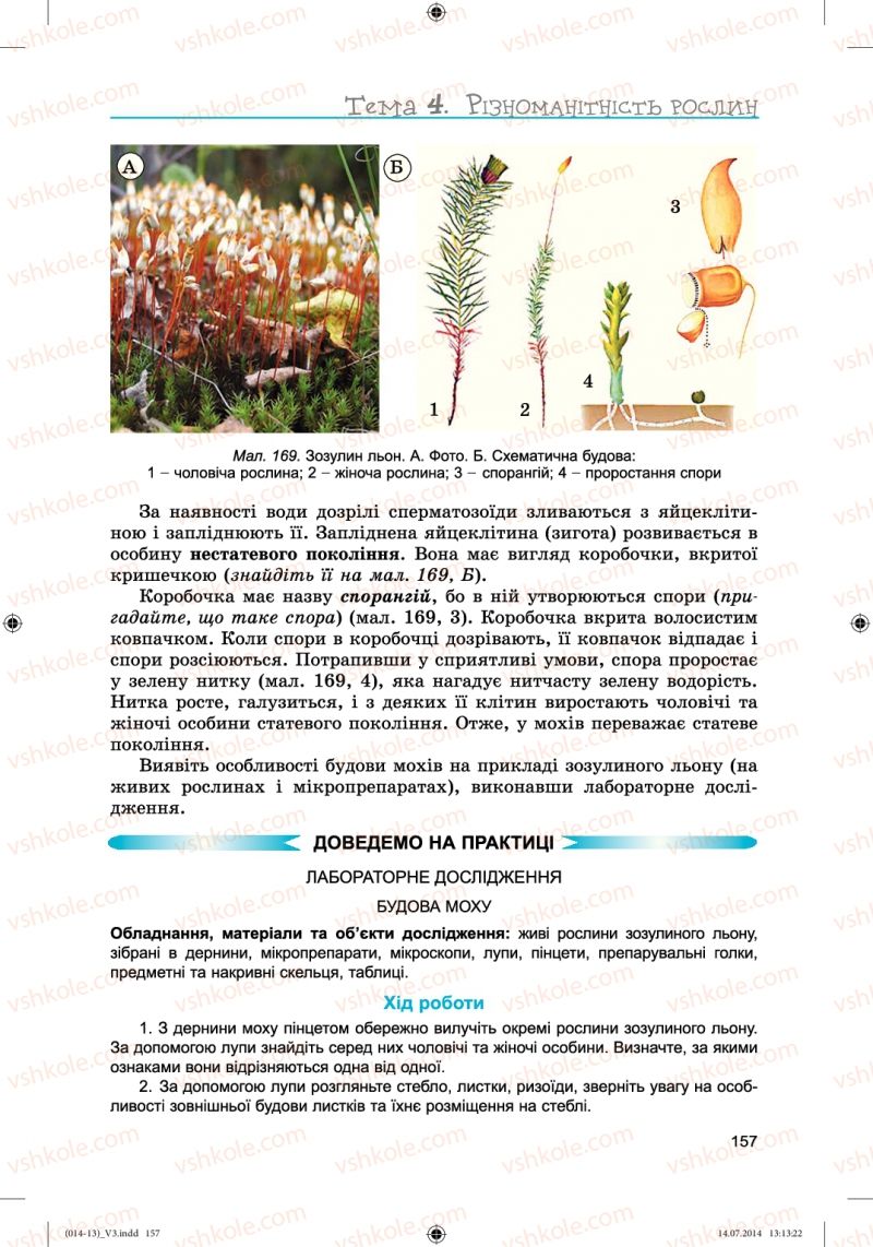 Страница 157 | Підручник Біологія 6 клас Л.І. Остапченко, П.Г. Балан, Н.Ю. Матяш 2014