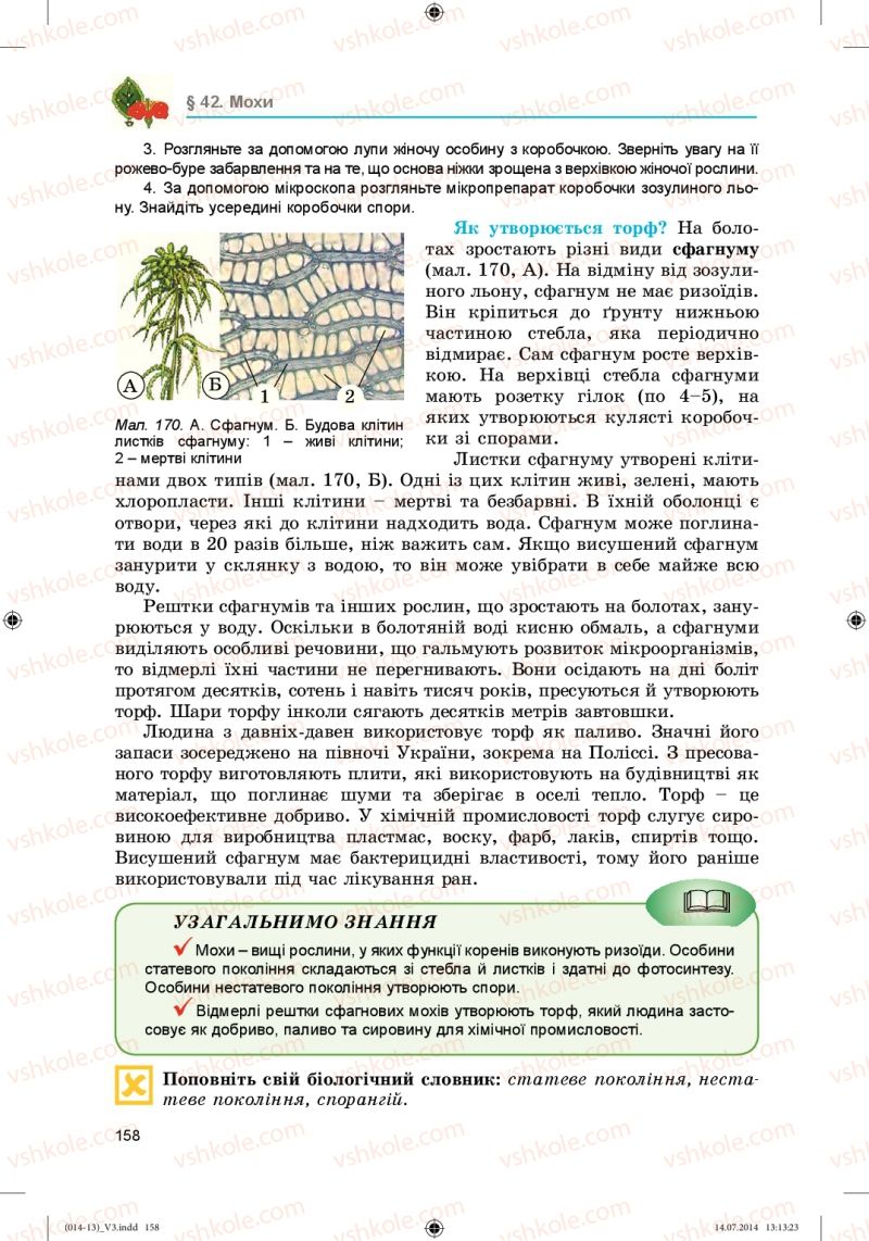Страница 158 | Підручник Біологія 6 клас Л.І. Остапченко, П.Г. Балан, Н.Ю. Матяш 2014