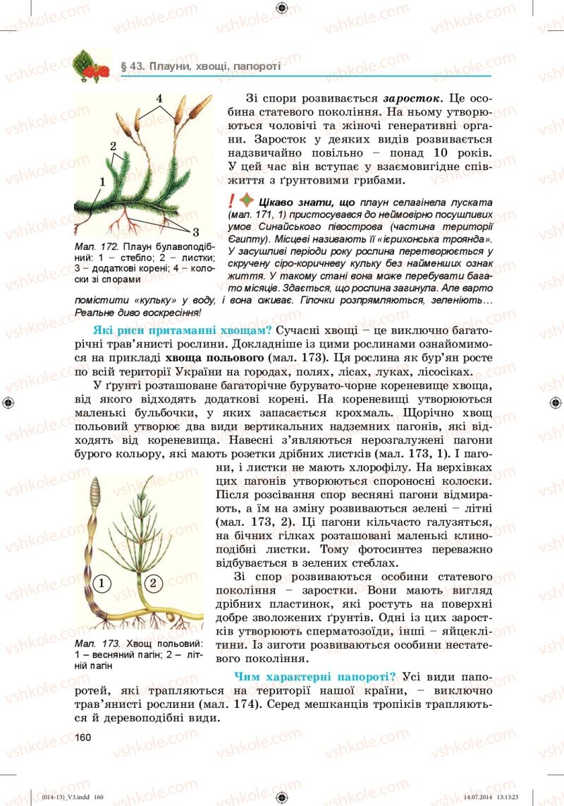 Страница 160 | Підручник Біологія 6 клас Л.І. Остапченко, П.Г. Балан, Н.Ю. Матяш 2014