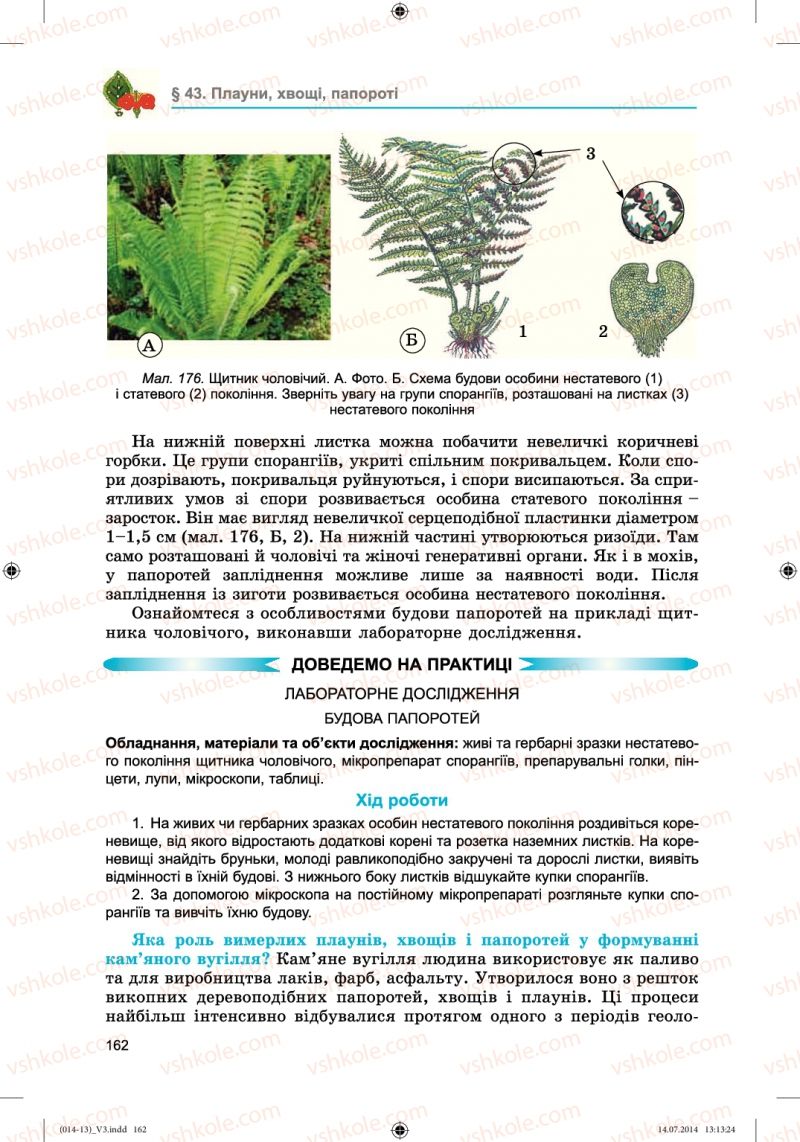 Страница 162 | Підручник Біологія 6 клас Л.І. Остапченко, П.Г. Балан, Н.Ю. Матяш 2014