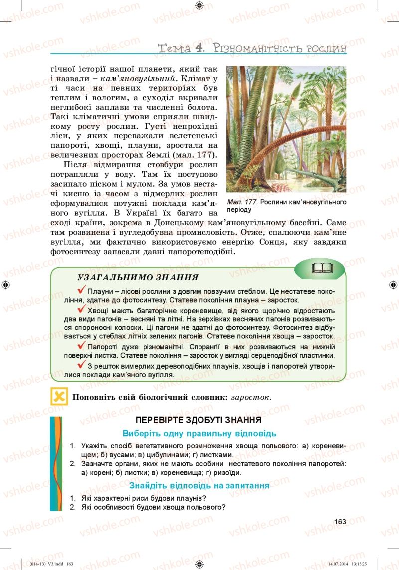 Страница 163 | Підручник Біологія 6 клас Л.І. Остапченко, П.Г. Балан, Н.Ю. Матяш 2014