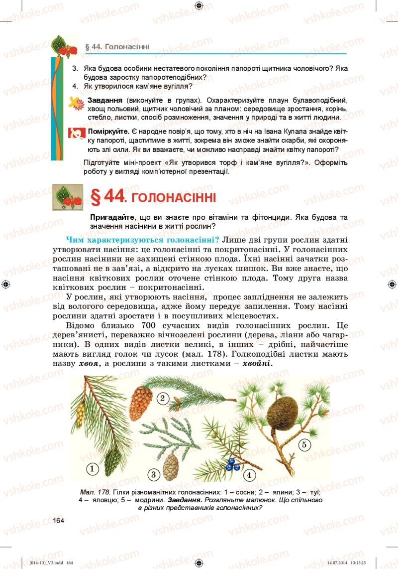 Страница 164 | Підручник Біологія 6 клас Л.І. Остапченко, П.Г. Балан, Н.Ю. Матяш 2014