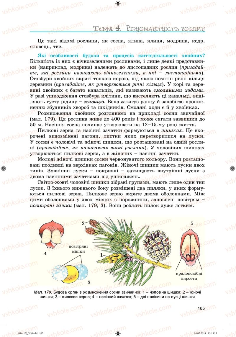 Страница 165 | Підручник Біологія 6 клас Л.І. Остапченко, П.Г. Балан, Н.Ю. Матяш 2014