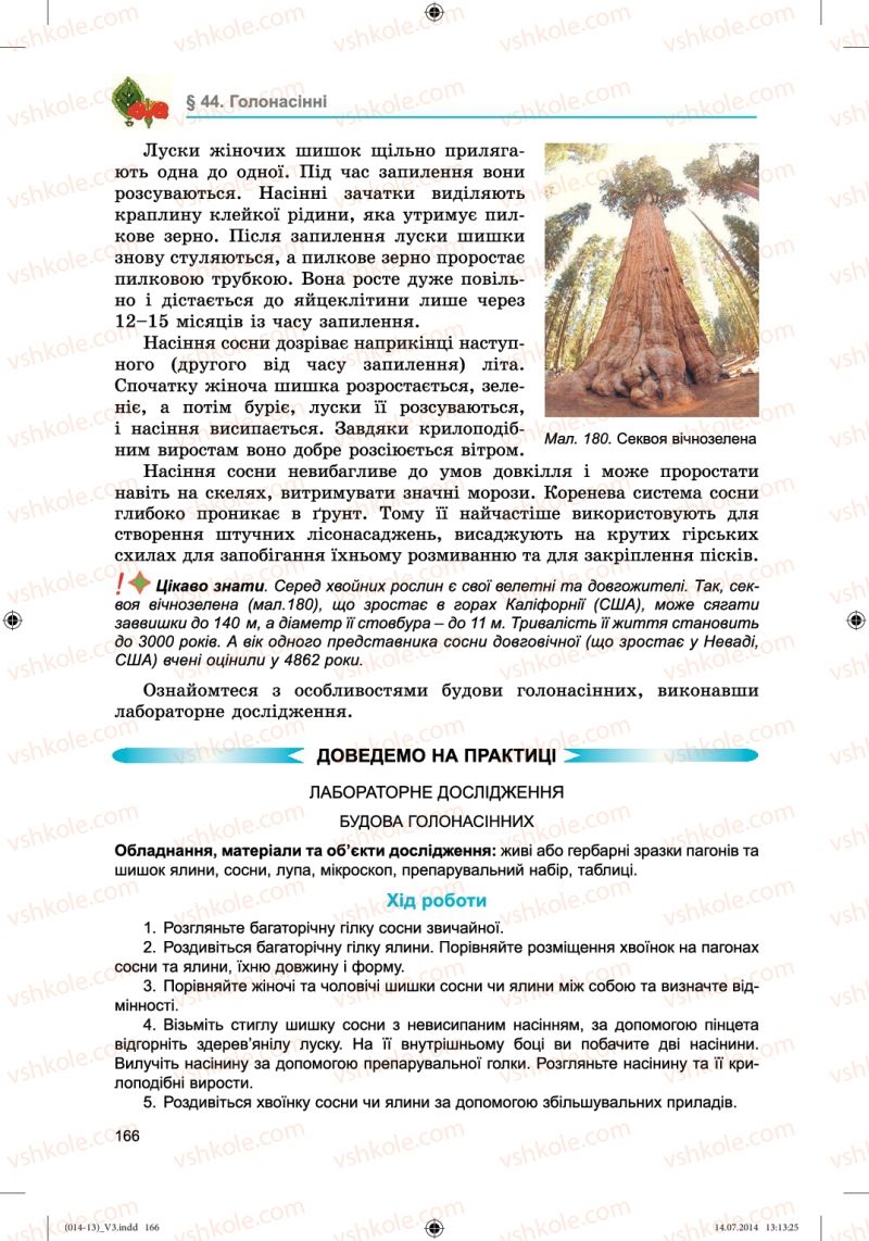 Страница 166 | Підручник Біологія 6 клас Л.І. Остапченко, П.Г. Балан, Н.Ю. Матяш 2014