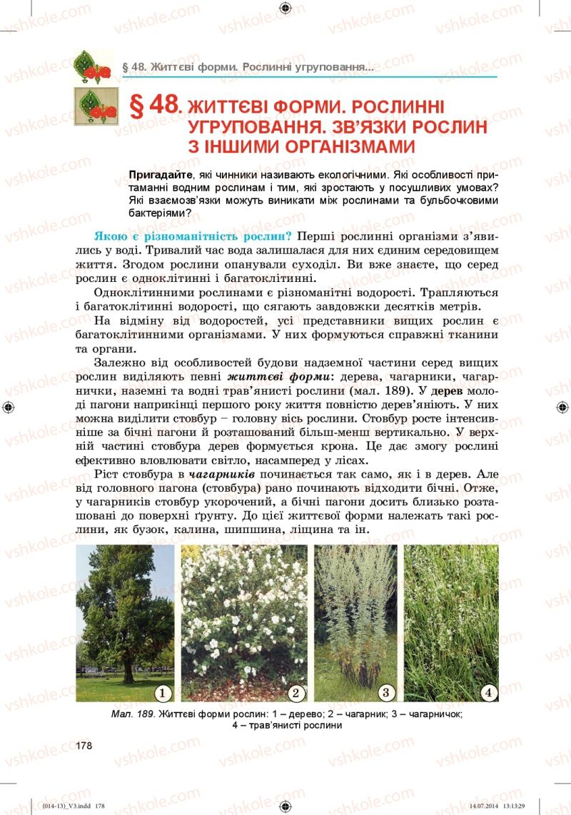 Страница 178 | Підручник Біологія 6 клас Л.І. Остапченко, П.Г. Балан, Н.Ю. Матяш 2014