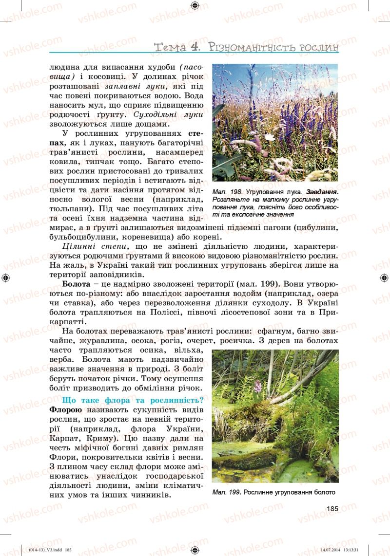 Страница 185 | Підручник Біологія 6 клас Л.І. Остапченко, П.Г. Балан, Н.Ю. Матяш 2014