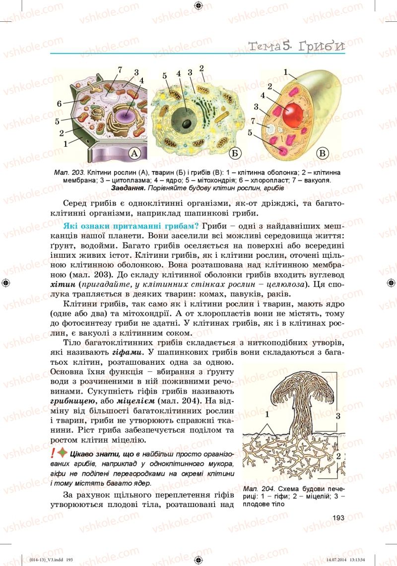 Страница 193 | Підручник Біологія 6 клас Л.І. Остапченко, П.Г. Балан, Н.Ю. Матяш 2014