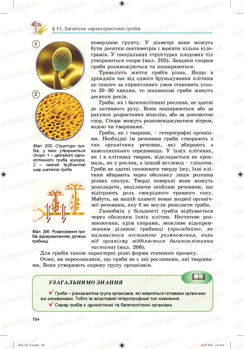 Страница 194 | Підручник Біологія 6 клас Л.І. Остапченко, П.Г. Балан, Н.Ю. Матяш 2014