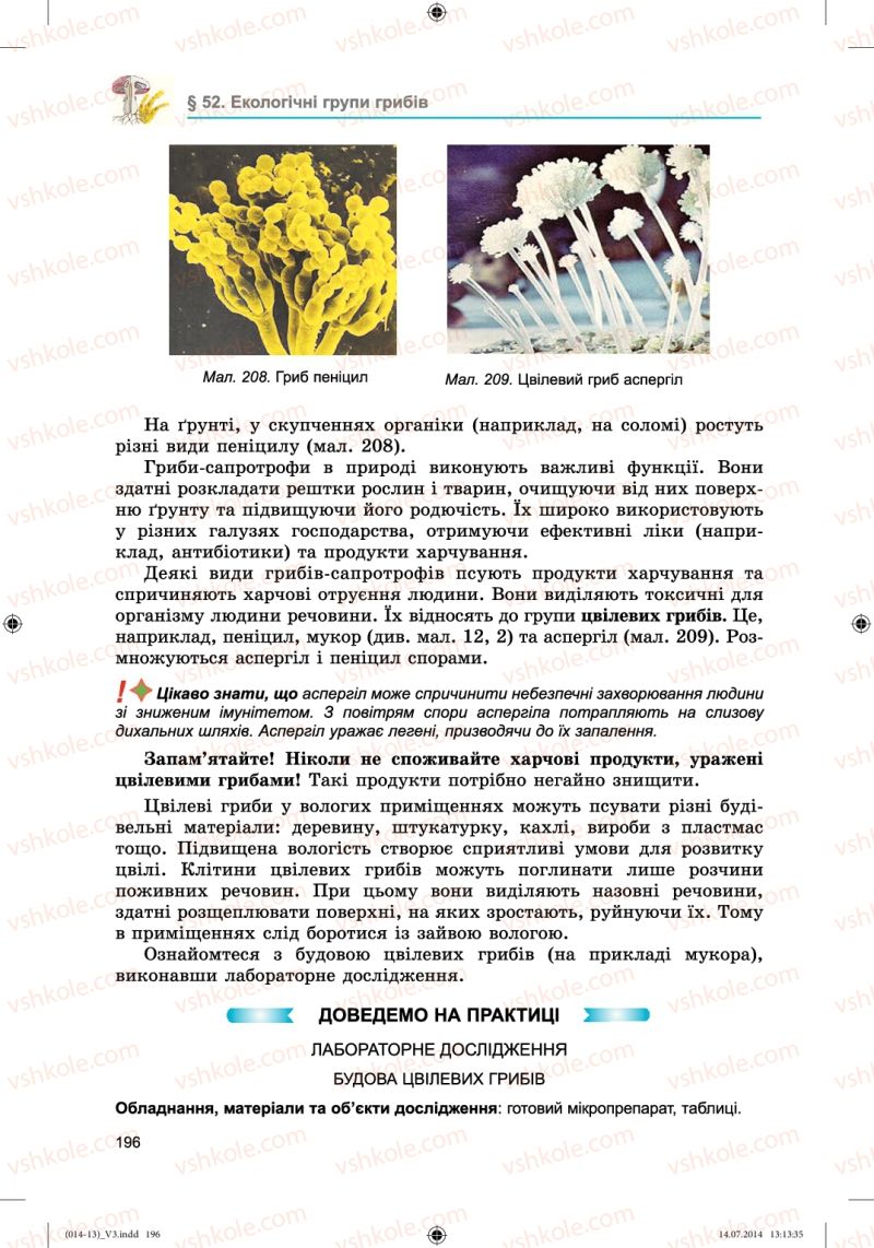 Страница 196 | Підручник Біологія 6 клас Л.І. Остапченко, П.Г. Балан, Н.Ю. Матяш 2014