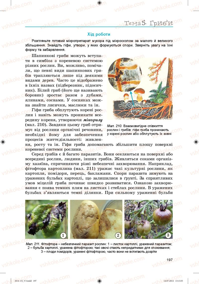 Страница 197 | Підручник Біологія 6 клас Л.І. Остапченко, П.Г. Балан, Н.Ю. Матяш 2014