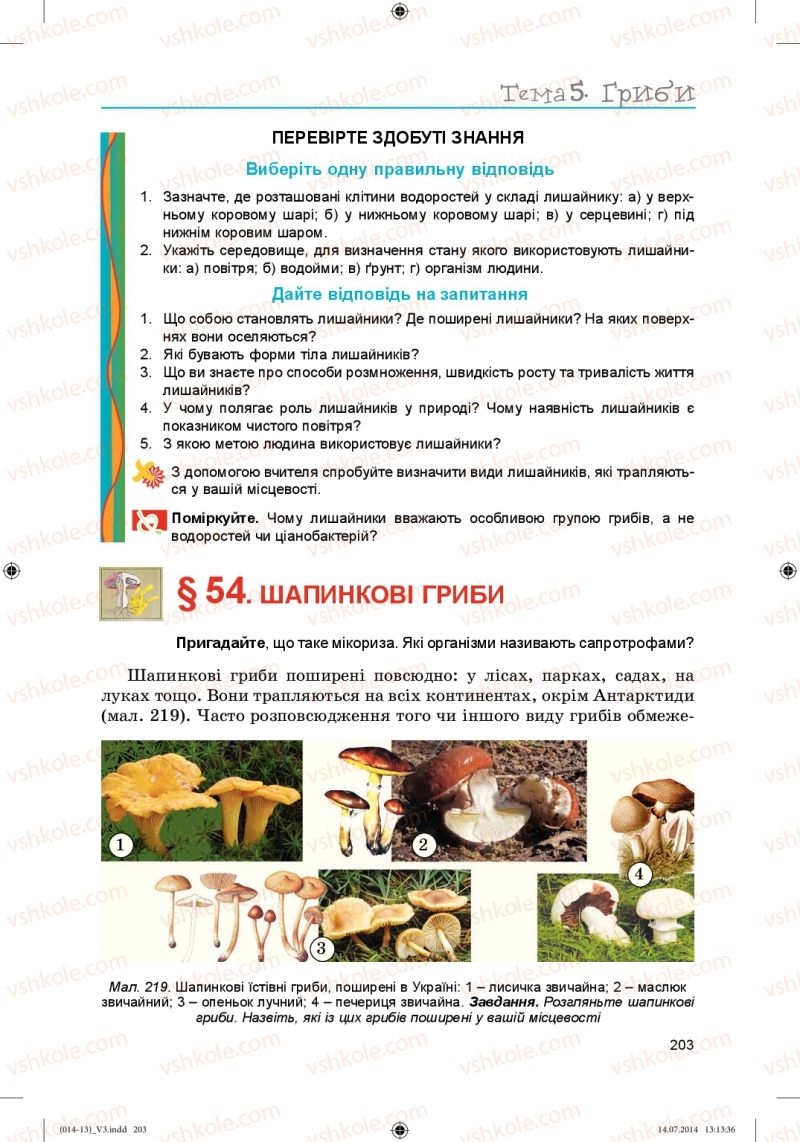 Страница 203 | Підручник Біологія 6 клас Л.І. Остапченко, П.Г. Балан, Н.Ю. Матяш 2014